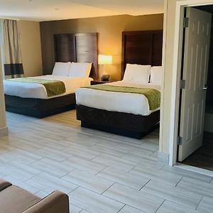 Queen Suite